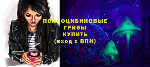 экстази Осташков